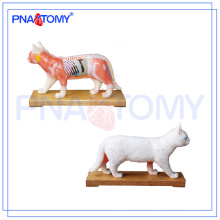 PNT-AM45 Cat Acupuncture Model animal anatomical model